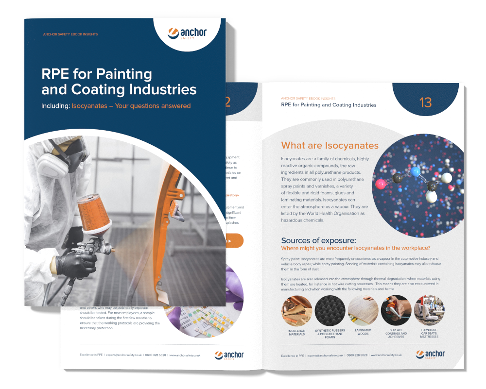 RPE Guide for Painting and Coating Industries - E-book